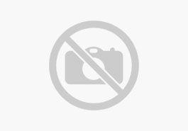 Seat Ateca 2.0 TSI FR 4Drive Winter-Paket